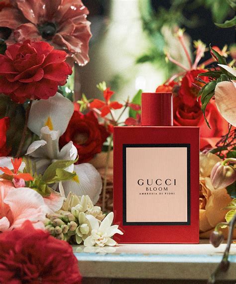 collection gucci|gucci collection perfume.